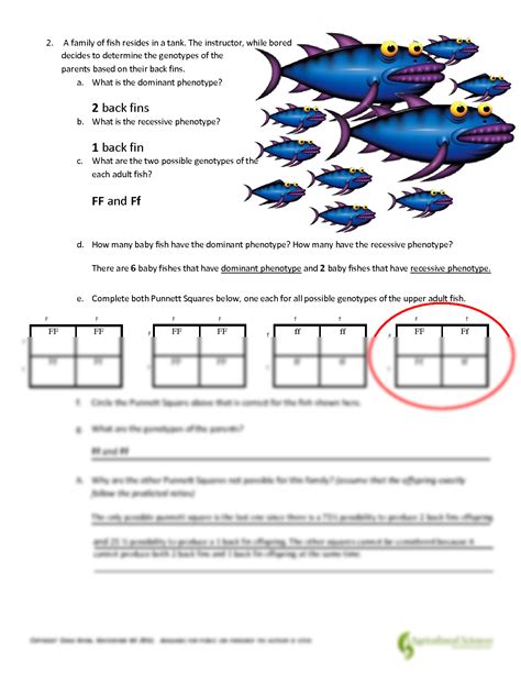 mendelian genetics worksheet answer key fish
